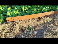 1SGS 000mm*1.6mm*100mm گالوانیزه لبه لبه فولادی کورتن لبه چمنی کورتن